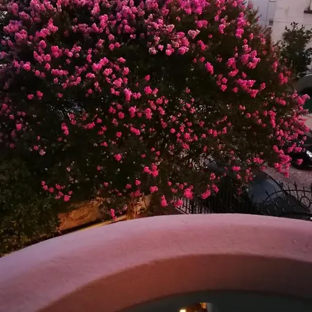 Hotell House Of Pandora